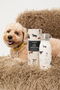 Термос объемом 500 мл Medicine, бежевый