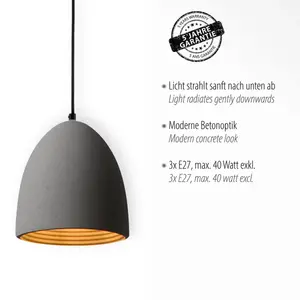 Подвесной светильник Paul Neuhaus Eton, серый