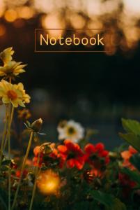 Roses Journal: hard cover journal (6 Inches * 9 inches) (Independently published)