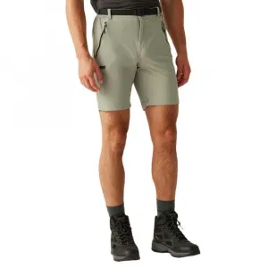 Шорты Regatta Xert Stretch III, зеленый