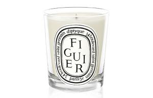 Практическая ароматерапия Diptyque, fig 190g