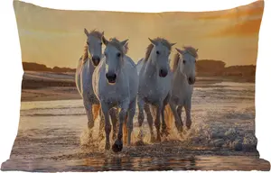 Подушка для улицы - Лошади - Вода - Пляж - Животные - 50 x 30 см - Устойчива к погодным условиям - Подушка для отдыха - Подушка для дивана - Украшение для гостиной MuchoWow