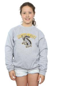 Толстовка Хаффлпаффа Harry Potter, серый