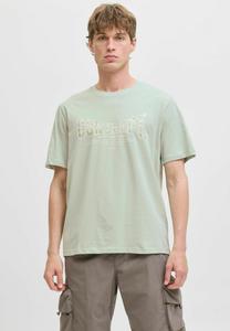 Футболка Jack & Jones GEDRUCKT RUNDHALSAUSSCHNITT , Aqua Gray/Mint