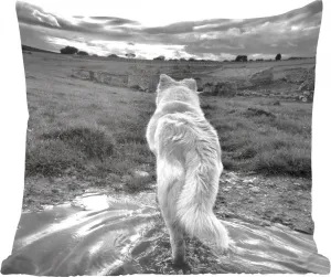 Декоративная подушка для дивана, декоративная подушка для гостиной, 40x40 см, волк с видом на пейзаж в черно-белом цвете - фотоподушка - украшение для спальни MuchoWow