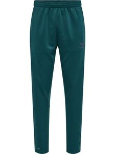 Спортивные брюки Hummel Hmlcore Xk Training Poly, цвет !SEA MOSS