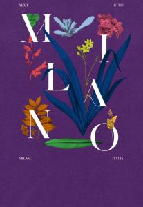 Толстовка NEXT STOP MILAN Henry Tiger, фиолетовый