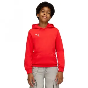 Худи Puma Teamgoal Casuals, красный