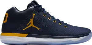Кроссовки Air Jordan 31 Low Michigan, синий