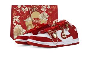 Кроссовки для скейтбординга Dunk Abrasion Resistant Low Top Unisex Nike, красный