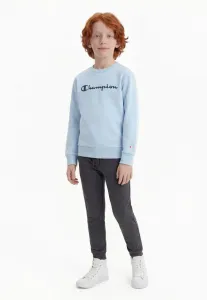 Простая толстовка с круглым вырезом Champion, Blue