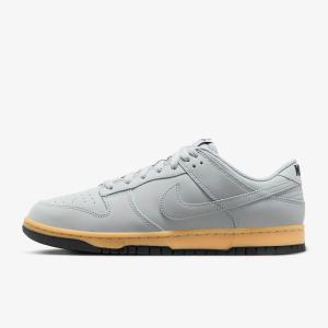 Кроссовки Nike Dunk Low Retro SE, серый