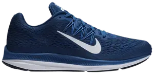 Кроссовки Nike Zoom Winflo 5 'Gym Blue', синий