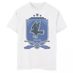 Футболка с логотипом для квиддича «Гарри Поттер» и «Равенкло» для мальчиков 8–20 лет Harry Potter