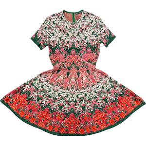 Alexander McQueen Floral Embroidered Skirt