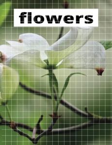 best book for writing, coloring, drawing and doing school and office work ( mejor libro para escribir, colorear, dibujar y hacer trabajos de la escuela y la oficina.) (Independently published)