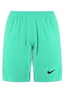 Спортивные шорты DRY PARK III Nike, цвет hyper turquoise / black