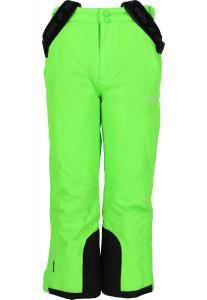 Лыжные штаны Zigzag Skihose Provo, цвет 3002 Green Gecko