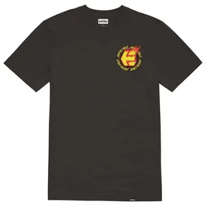 Худи Etnies Santa Cruz Flame, черный