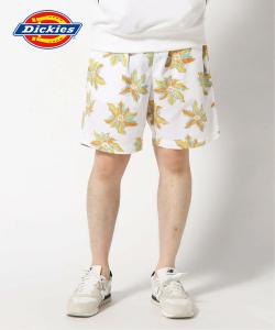 Шорты Dickies/(U)DK
