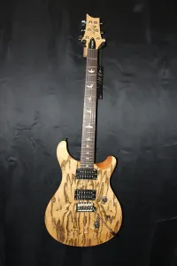 PRS SE Exotic Custom 24 Swamp Ash Burl