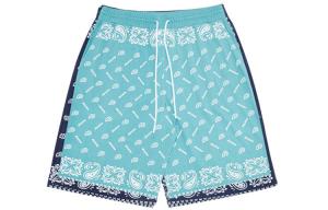 Dickies Повседневные шорты мужские небесно-голубые