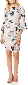 Женское платье-футляр с баской Calvin Klein, Blush Multi