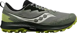 Кроссовки Peregrine 14 GORE-TEX 'Bough Olive', серый