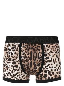 Dolce & Gabbana боксеры с принтом, коричневый