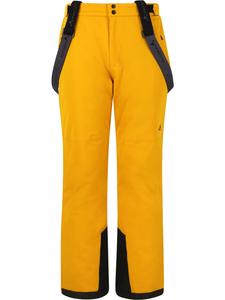 Whistler Горнолыжные брюки Gippslang, цвет 5142 золотисто-желтый