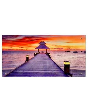 Стеклянная картина MCW T114 Steg, многоцветный