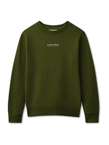 Толстовка Calvin Klein Jeans, Fir