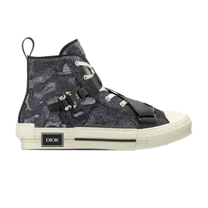 Кроссовки Peter Doig x Dior B23 High 'Black Beige', черный