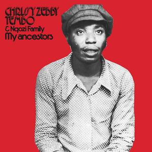 Виниловая пластинка Chrissy Zebby Tembo: My Ancestors