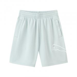 Спортивные шорты Sportstyle Series Light Gray PUMA, светло-серый