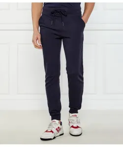 Спортивные штаны Regular fit Iceberg, синий