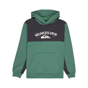 Детская толстовка Knowledge AreaYouth Quiksilver, зеленый