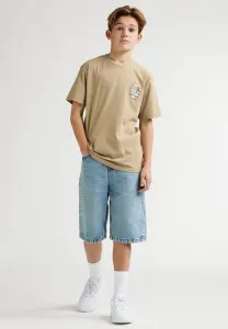 Свободные джинсовые шорты lenox rosarito Petrol Industries, Light Vintage