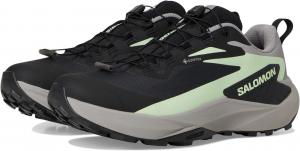 Кроссовки Salomon Women's Genesis, Black/Gull/Patina Green