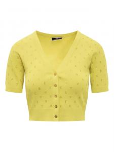 Кардиган с буквенным принтом Elisabetta Franchi, желтый