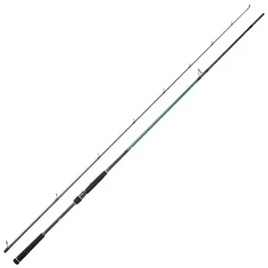 Спиннинг Daiwa Caldia Seabass Standard II, серебряный