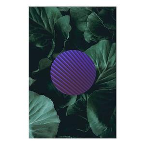 Фреска Artgeist Botanical Abstraction цвет grün/lila