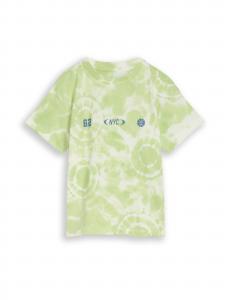 TOM TAILOR Футболка в светло-зеленом цвете