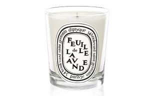 Практическая ароматерапия Diptyque, сиреневый 190g