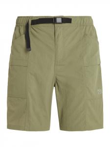 Тканевые шорты Protest  PRTCARBOST, цвет Artichoke green