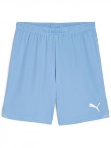 Спортивные шорты TeamGoal Shorts синего цвета Puma