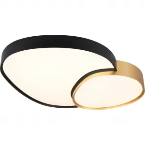 Светильник TRIO Leuchten LED потолочный RISE, 45 Вт 5300 люмен теплый до холодного белого 2700-6500K, LED-плата 1 шт., теплый - холодный белый, дистанционное управление, функция памяти, ночной свет, выбор цвета света CCT Trio Leuchten, золотой