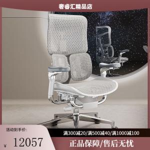 SIHOO Doro S300 эргономичное кресло для долгой работы, компьютерное кресло, офисное кресло, эргономичный дизайн, Rock Gray + база 6-го поколения Space с установкой, Rock Gray