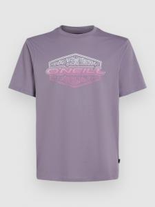 Футболка O'Neill Gradient T-Shirt, storm
