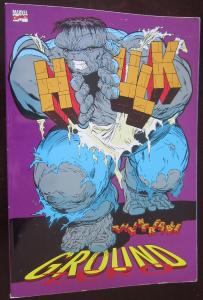 Incredible Hulk: Ground Zero TPB (Marvel Comics)